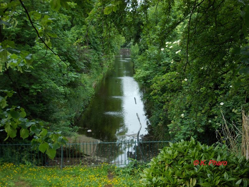 Betts Park Old Canal (2).jpg